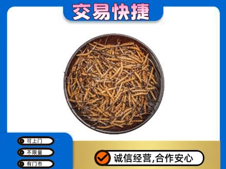 濮阳高价回收散虫草